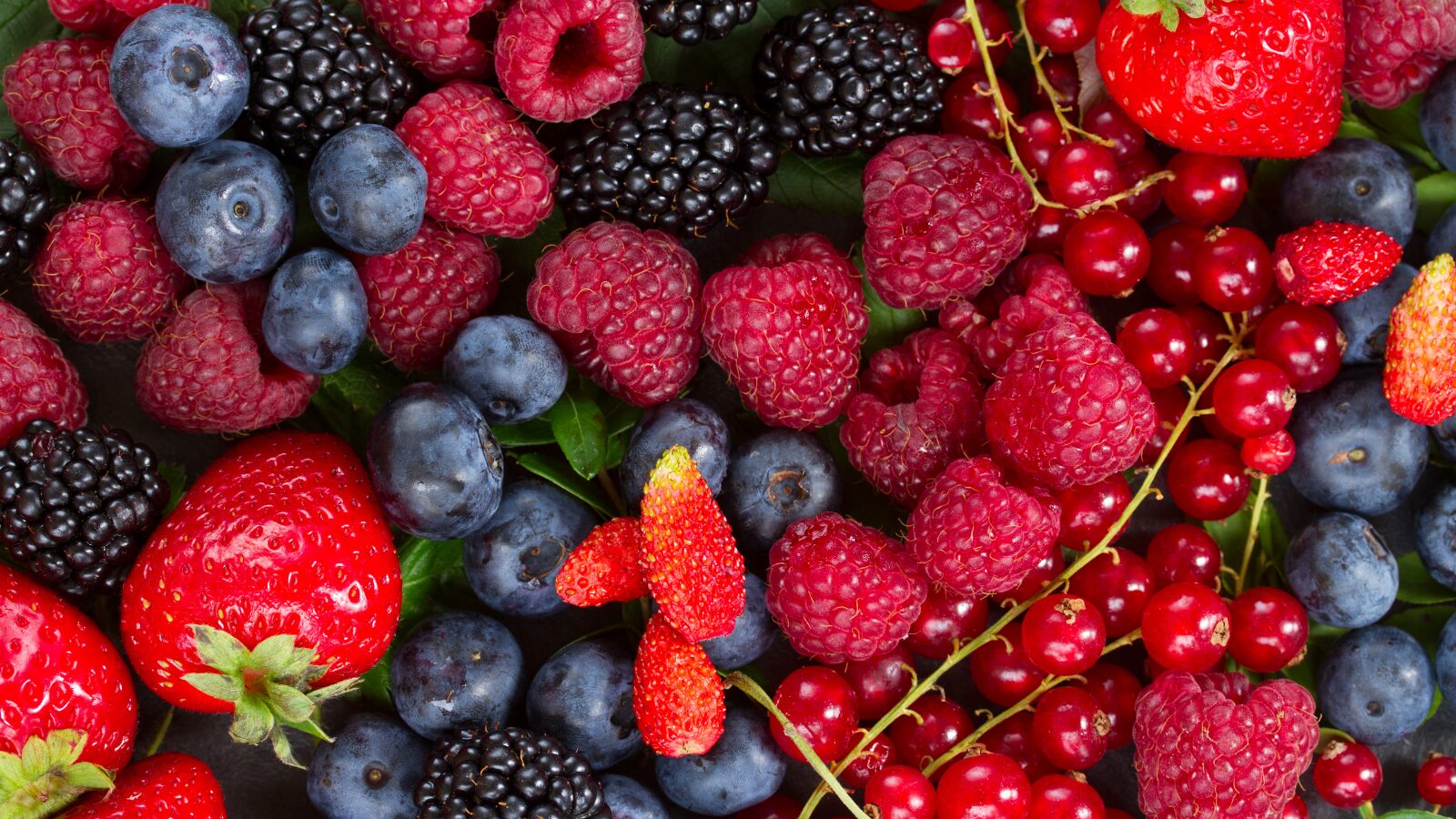 Beeren: Kleine Früchte, große Wirkung